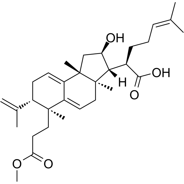 Poricoic acid BM Chemical Structure Poricoic acid BM