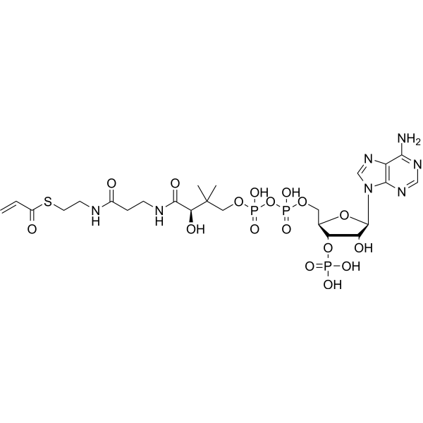 Acrylyl-CoA Chemical Structure Acrylyl-CoA (Synonyms: Acrylyl coenzyme A)