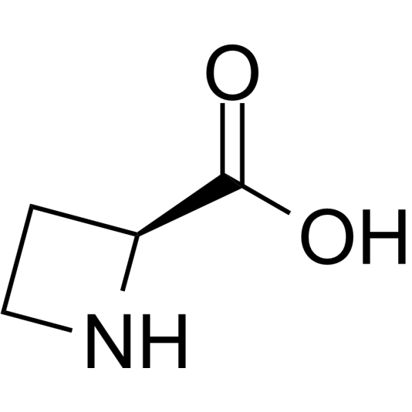 L-Azetidine-2-carboxylic acid