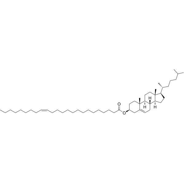 Cholesterol nervonate